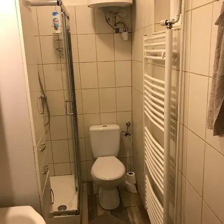 F52 Проживание в семье *
